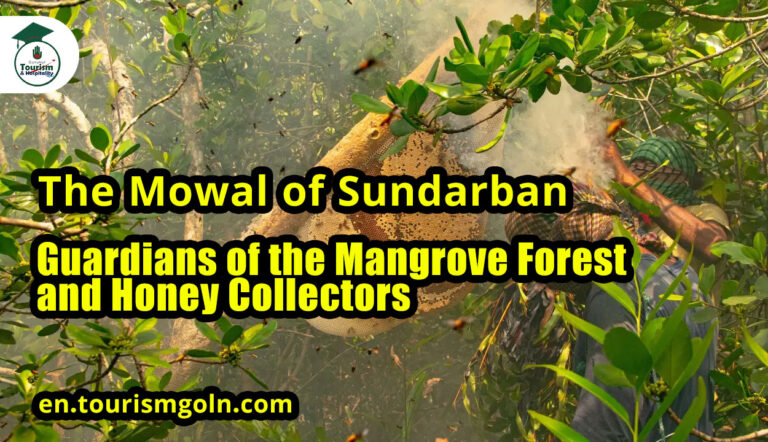 The Mowal of Sundarban: Guardians of the Mangrove Forest and Honey Collectors